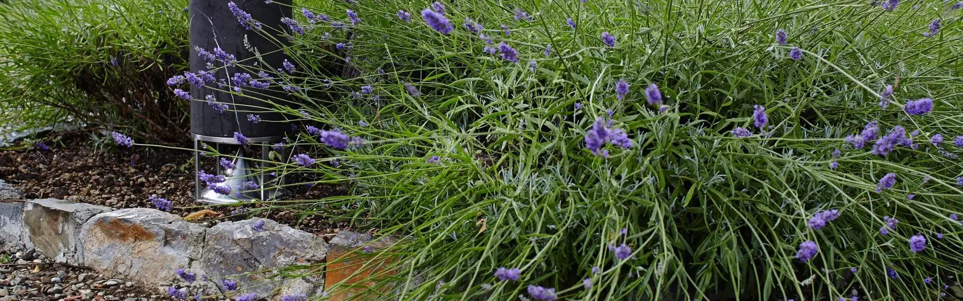 Gartenlautsprecher Außenbereich